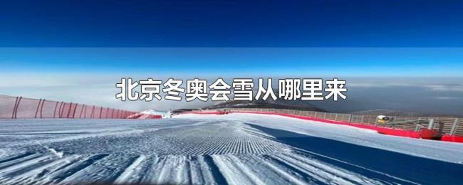 北京冬奥会雪从哪里来