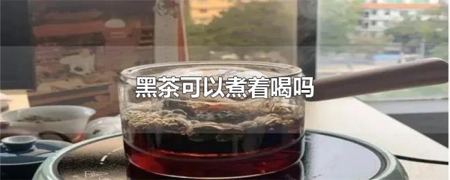 黑茶可以煮着喝吗