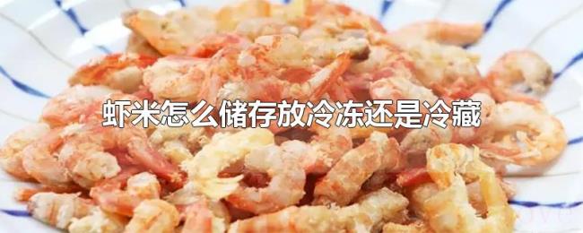 虾米怎么储存放冷冻还是冷藏 虾米怎么储存放冷冻还是冷藏