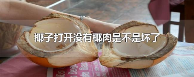 椰子打开没有椰肉是不是坏了