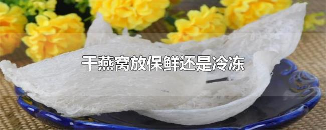 干燕窝放保鲜还是冷冻 干燕窝放保鲜还是冷冻