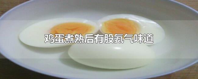 鸡蛋煮熟后有股氨气味道