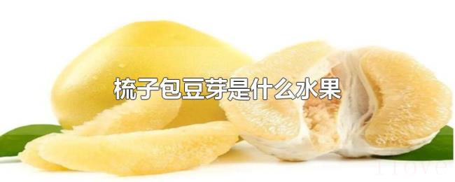 梳子包豆芽是什么水果