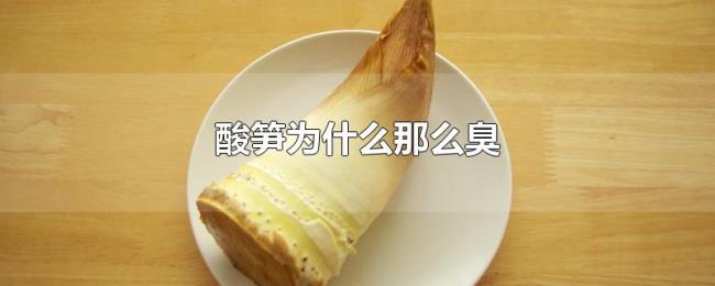 酸笋为什么那么臭 酸笋为什么那么臭