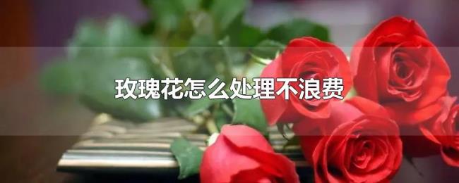 玫瑰花怎么处理不浪费