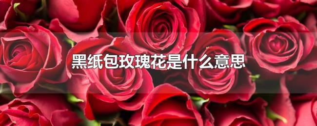 黑纸包玫瑰花是什么意思