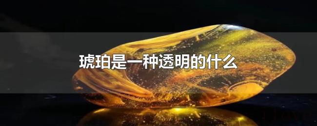 琥珀是一种透明的什么