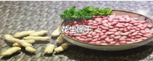 花生属于 花生属于