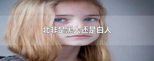 北非是黑人还是白人