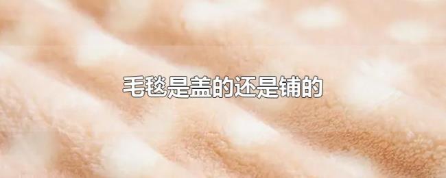 毛毯是盖的还是铺的