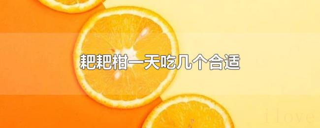 耙耙柑一天吃几个合适