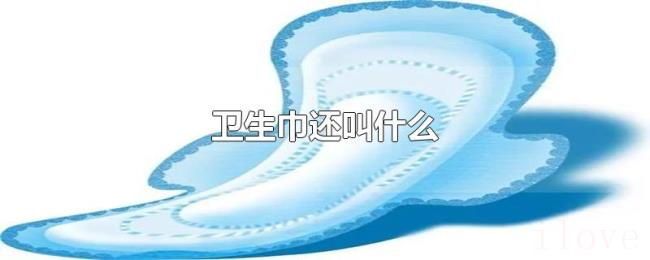 卫生巾还叫什么