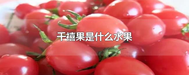 千禧果是什么水果
