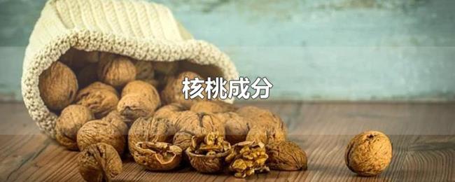 核桃成分