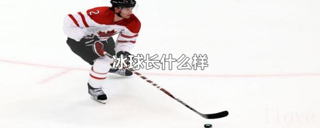 冰球长什么样