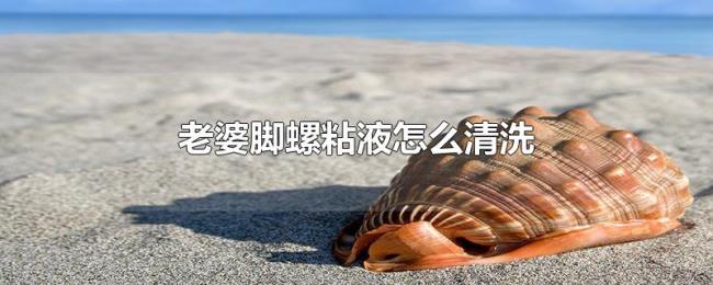 老婆脚螺粘液怎么清洗 老婆脚螺粘液怎么清洗