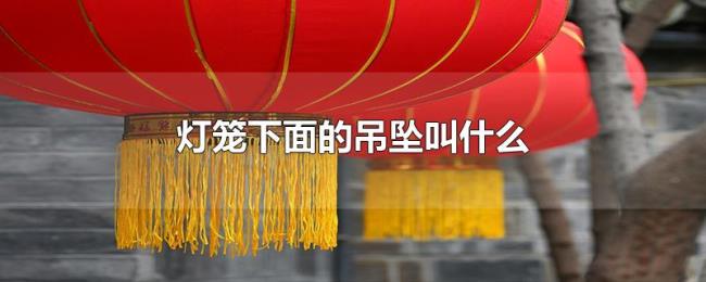 灯笼下面的吊坠叫什么