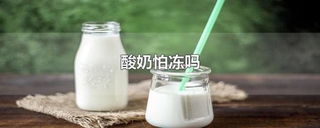 酸奶怕冻吗 酸奶怕冻吗