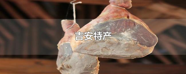 吉安特产