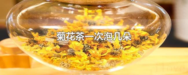 菊花茶一次泡几朵