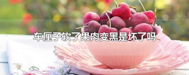 车厘子软了果肉变黑是坏了吗
