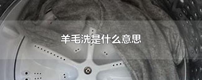 羊毛洗是什么意思