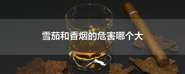 雪茄和香烟的危害哪个大