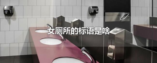 女厕所的标语是啥 女厕所的标语是啥