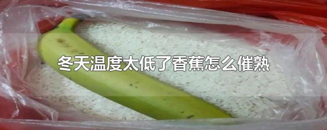 冬天温度太低了香蕉怎么催熟 冬天温度太低了香蕉怎么催熟