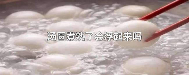汤圆煮熟了会浮起来吗