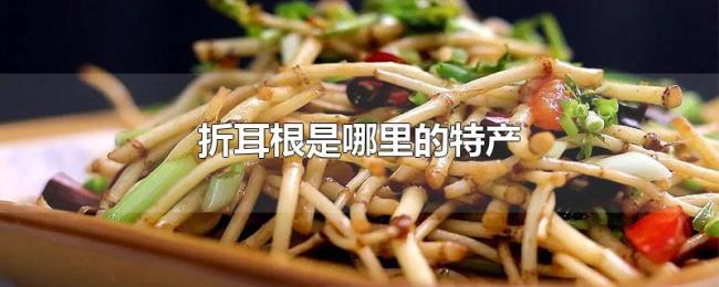 折耳根是哪里的特产