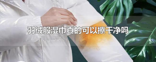羽绒服湿巾真的可以擦干净吗