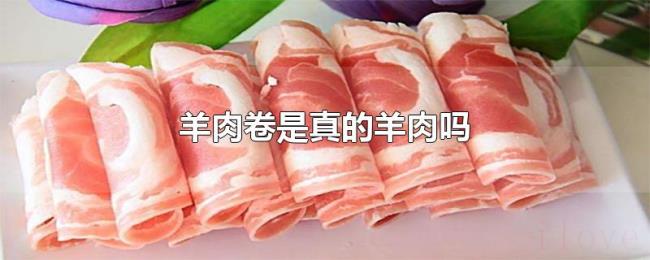 羊肉卷是真的羊肉吗 羊肉卷是真的羊肉吗