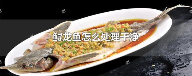 鲟龙鱼怎么处理干净