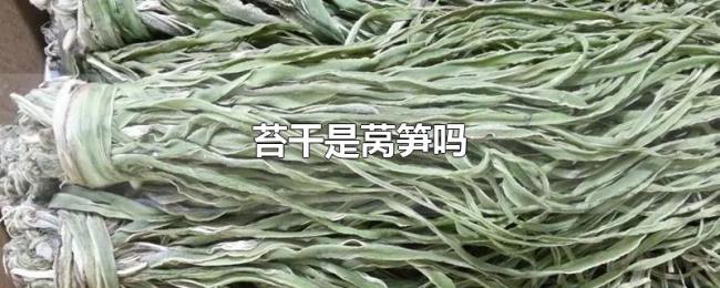 苔干是莴笋吗 苔干是莴笋吗