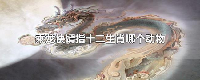 乘龙快婿指十二生肖哪个动物 乘龙快婿指十二生肖哪个动物