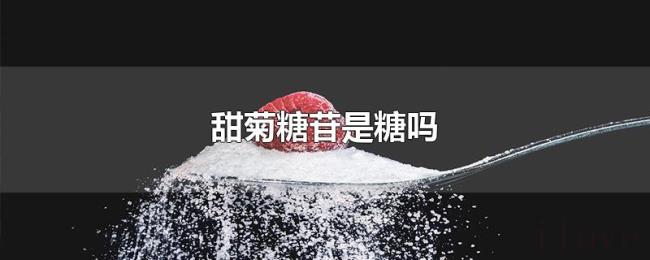 甜菊糖苷是糖吗 甜菊糖苷是糖吗