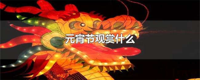 元宵节观赏什么