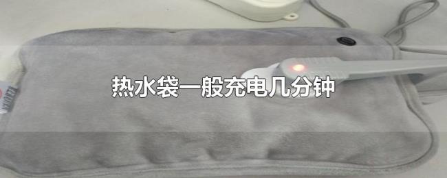 热水袋一般充电几分钟 热水袋一般充电几分钟