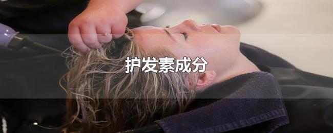护发素成分 护发素成分