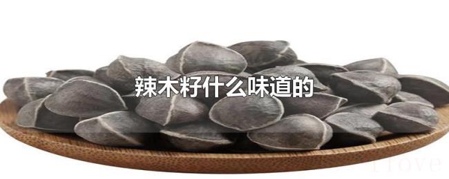 辣木籽什么味道的