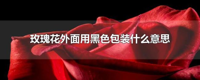 玫瑰花外面用黑色包装什么意思