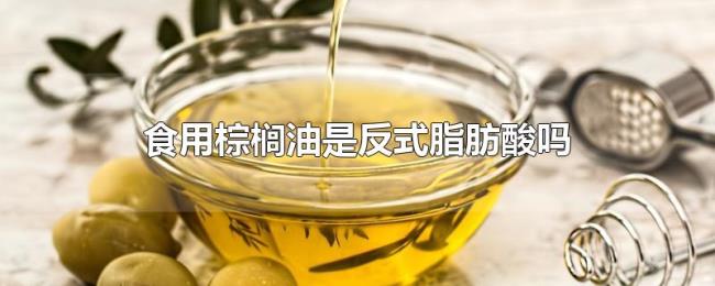 食用棕榈油是反式脂肪酸吗