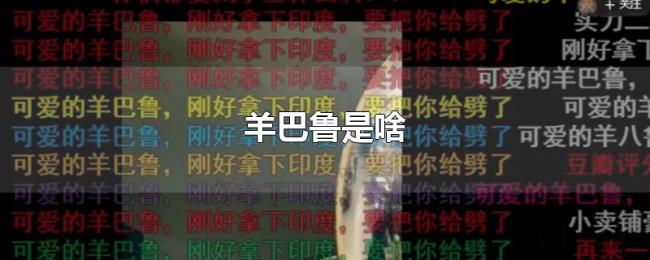 羊巴鲁是啥 羊巴鲁是啥