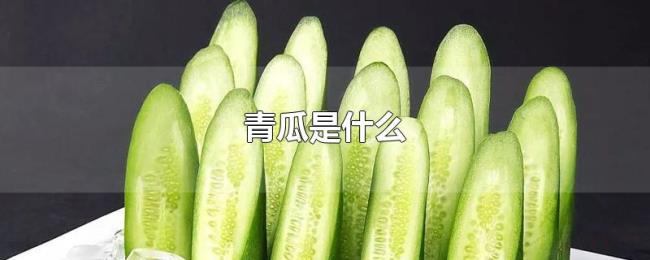 青瓜是什么 青瓜是什么