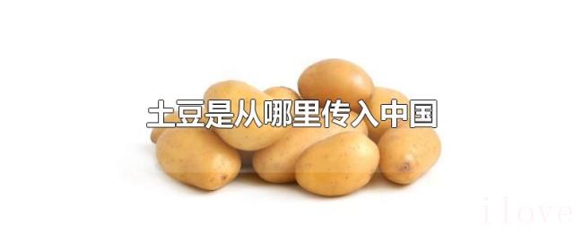土豆是从哪里传入中国