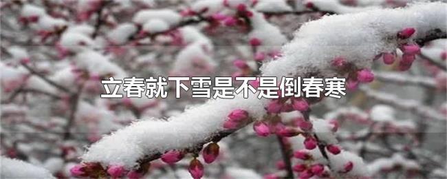 立春就下雪是不是倒春寒