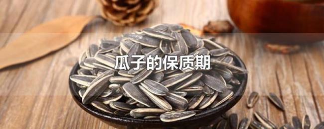 瓜子的保质期
