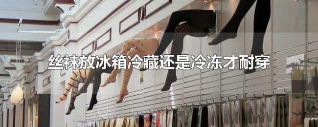 丝袜放冰箱冷藏还是冷冻才耐穿 丝袜放冰箱冷藏还是冷冻才耐穿