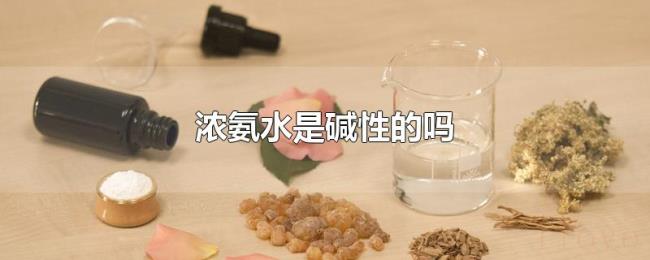 浓氨水是碱性的吗 浓氨水是碱性的吗